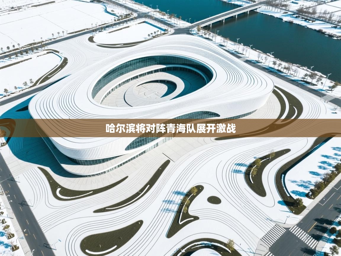 哈尔滨将对阵青海队展开激战