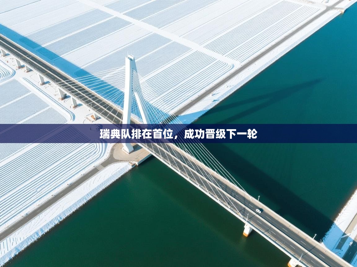 瑞典队排在首位，成功晋级下一轮  第1张