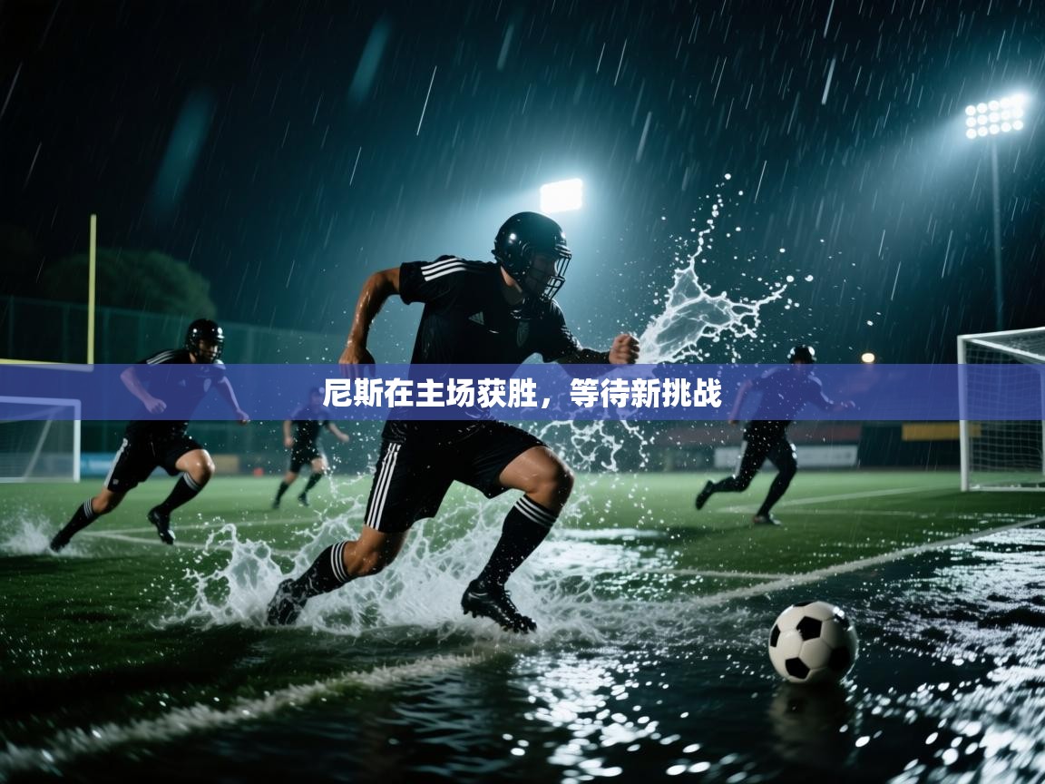 尼斯在主场获胜，等待新挑战  第2张