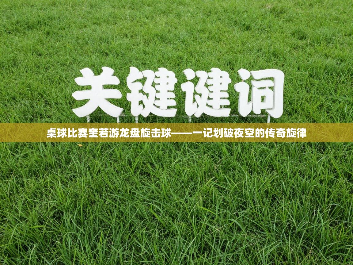 桌球比赛奎若游龙盘旋击球——一记划破夜空的传奇旋律  第1张