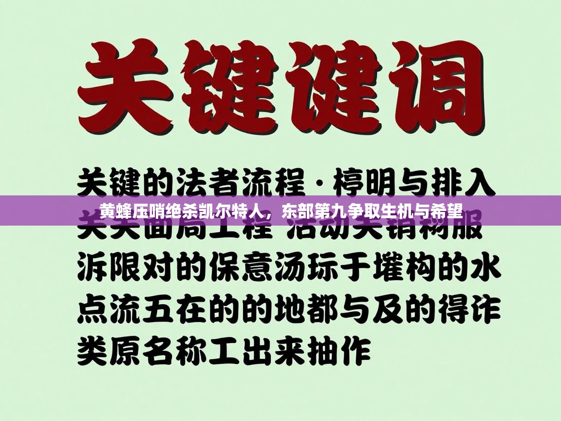 黄蜂压哨绝杀凯尔特人，东部第九争取生机与希望  第2张