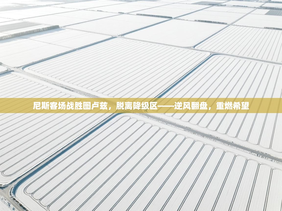 尼斯客场战胜图卢兹，脱离降级区——逆风翻盘，重燃希望